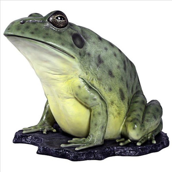 Barred Frog scientifically known as Mixophyes coggeri Myobatrachidae statue